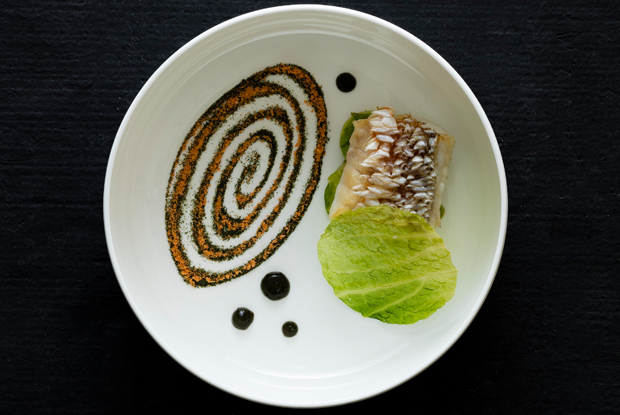 Amber-ASIA-2019-DISH2